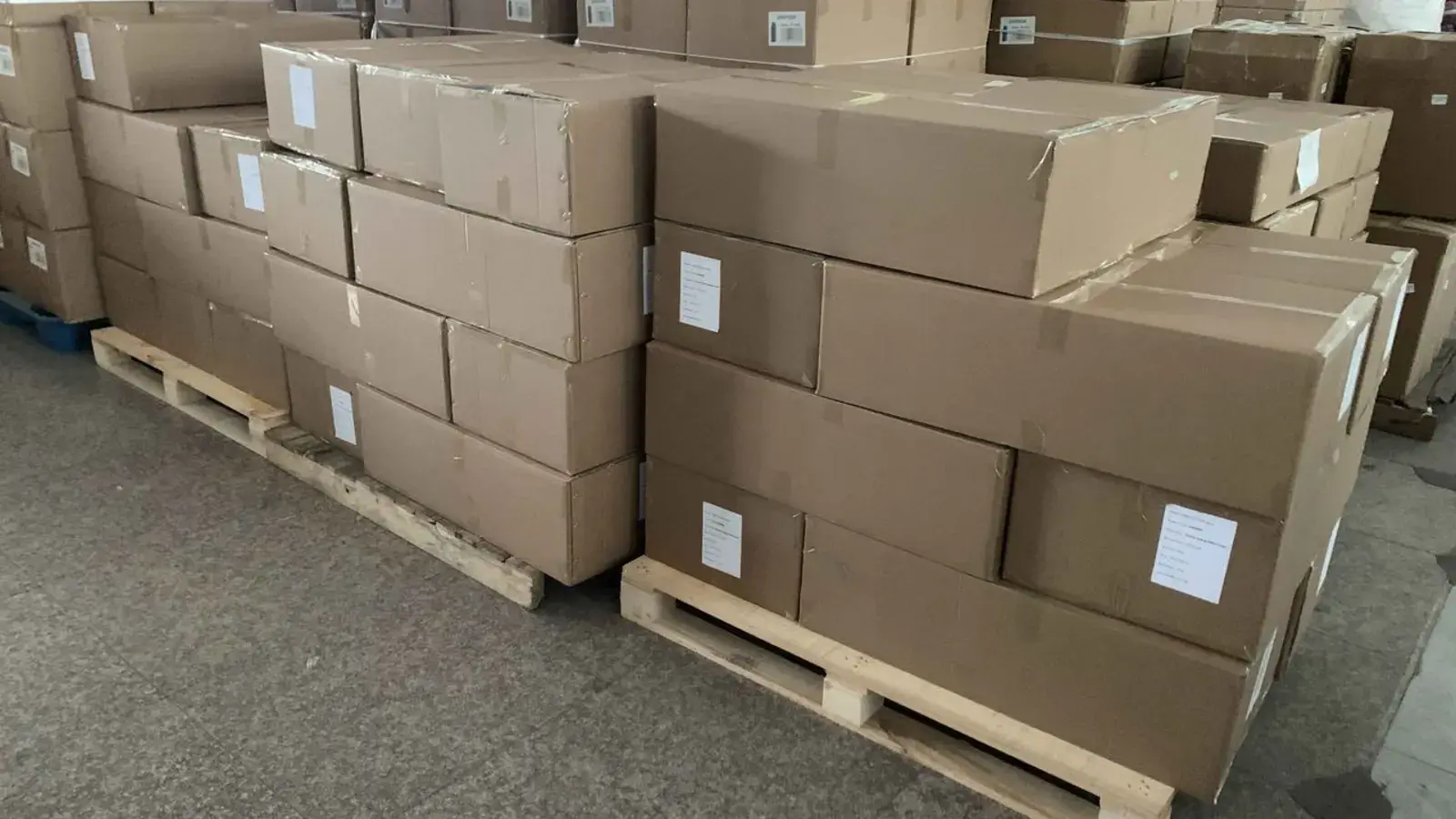 Packed export cartons staged on pallets before pre-shipment inspection.