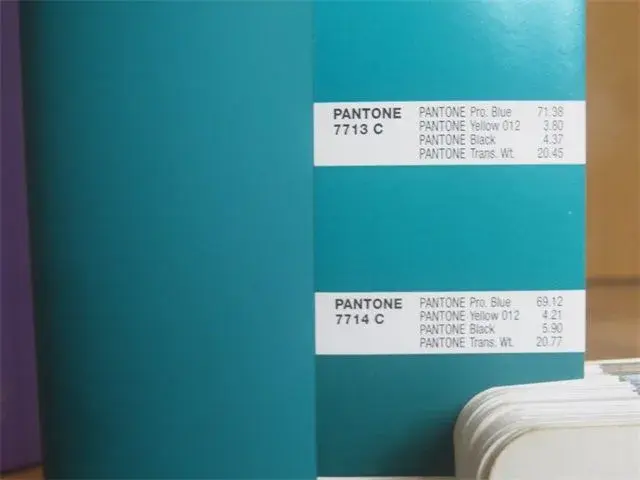 Pantone color references used to define an objective product color requirement before inspection.